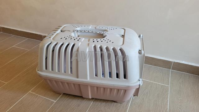 Cage de transport pour chats et chiens à prix attractif - 2