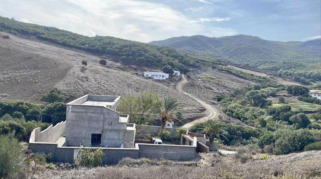 Maison avec terrain - 2