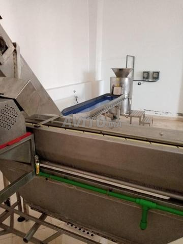 Ligne de production complète de Frites PRO 800KG/H - 2
