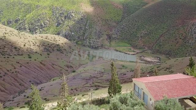 مزرعة استثنائية 1.85 هكتار – إطلالة على واد أم الربيع