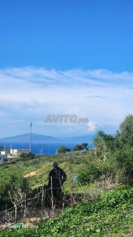 Terrain 2100 m2 titre à vendre vue sur mer à Hasana