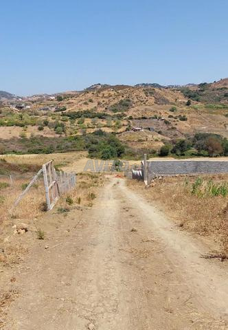 Terrain 560 m2 à vendre à Talaâ Gara Gankouch - 2