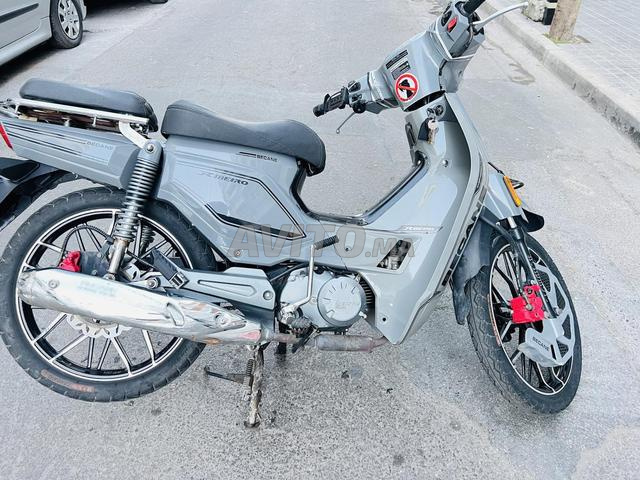 دراجة نارية نجمة 33 موديل 2024 2025 - 2