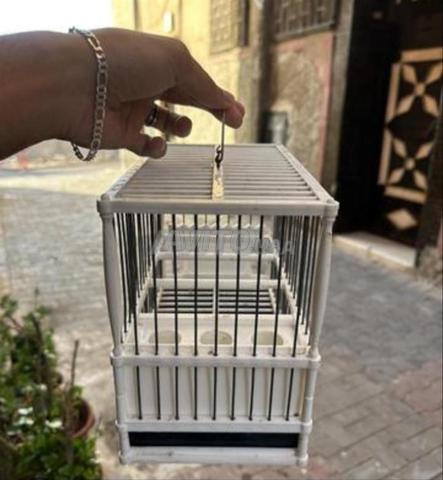 Cage neuve et magnifique 😎 Bienvenue - 2