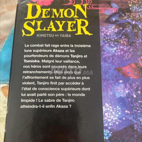 Demon Slayer 18 - 2