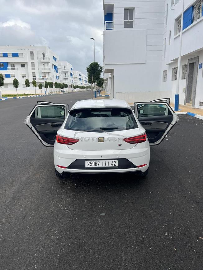 seat lion mliha