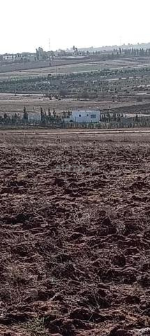 Terrain agricole à vendre d'une superficie de 3 hectares et 26 ares - 2