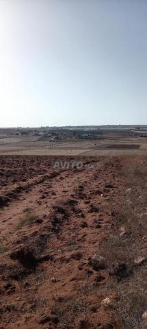 Terrain agricole à vendre d'une superficie de 3 hectares et 26 ares