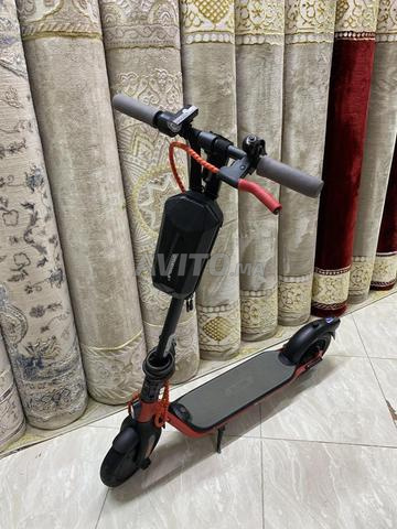 Trottinettes électriques