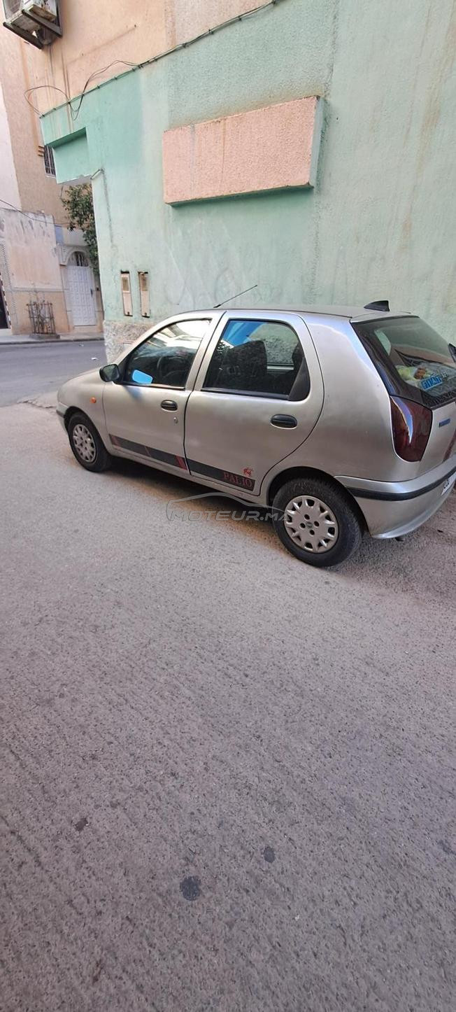 palio mazot 2002 elx