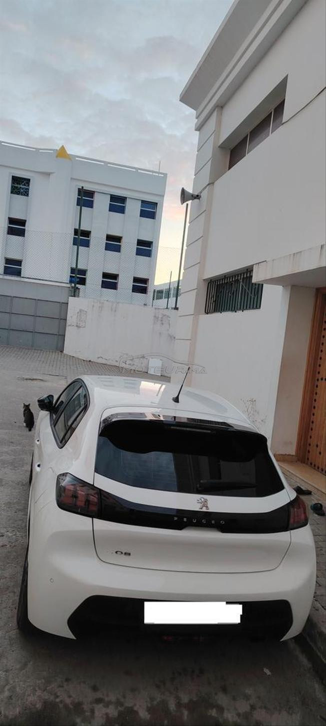طنجة المدينة