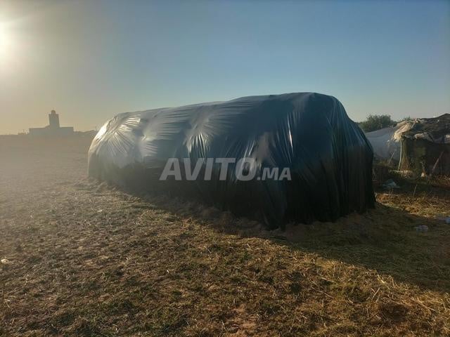 Vente de foin quantité limitée 400 - 2