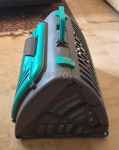 Cage de transport rigide et pliable - 2