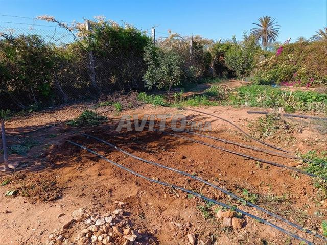 Terrain titré et Constructible à Vendre à Tiznit - 2