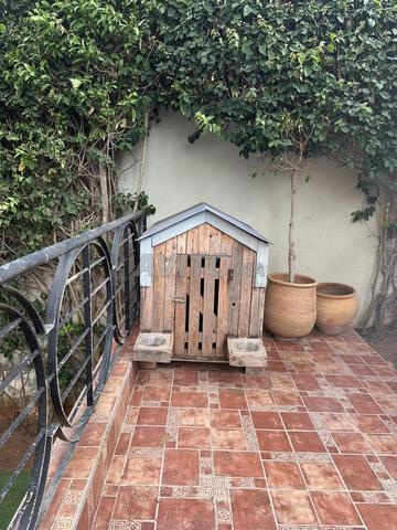 Niche pour chien neuve - 2