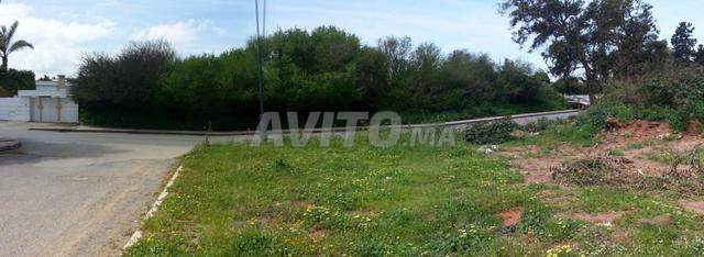 4422 m2 à Souissi. - 2