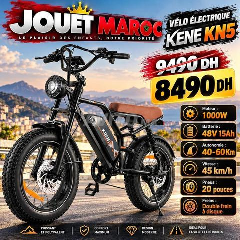 Vélo électrique KENE KN5