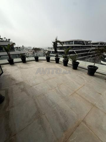 Plateau Bureau avec Immense Terrasse–Les Orchidées