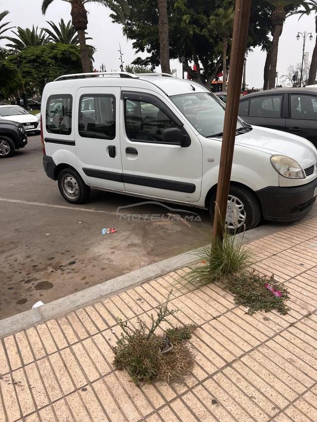 kangoo DCI