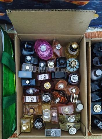 اختبارات عطور عليا للرجال والنساء