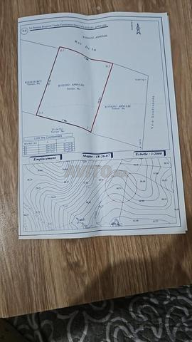 Terrain - 2
