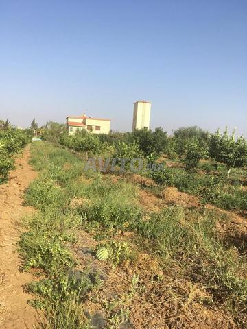 مزرعة للبيع - 2