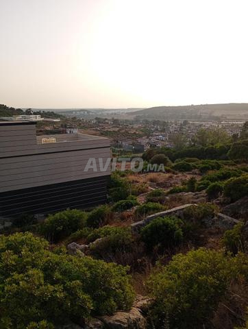 Vente terrain adelia à Cheraga 80 mètres - 2