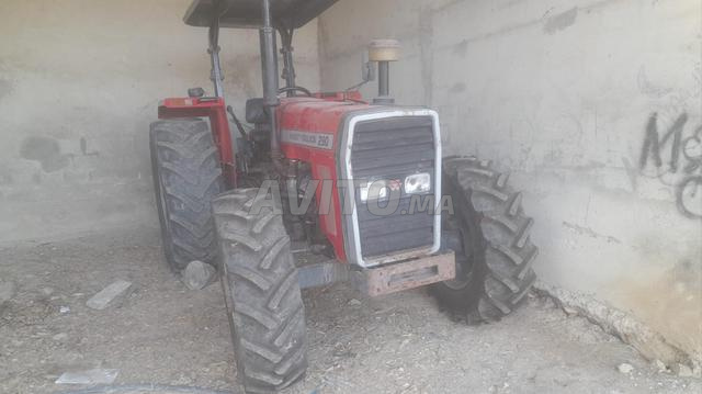 جرار فيرغسون 290 للبيع - 2