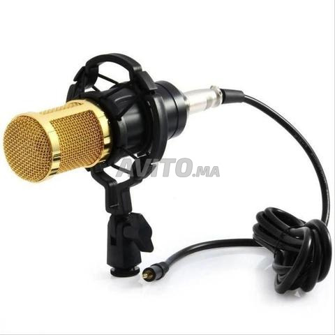 Microphone à Condensateur Phonic BT-888 - 2
