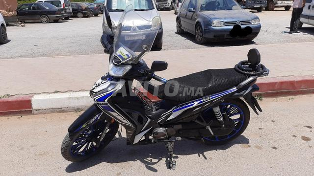 Vélo 29 modèle 2019 - 2