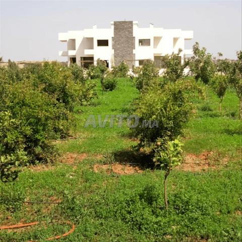 115861-Vente Terrain à Benslimane Moualine El Ghab