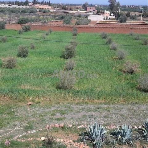 117234-Vente Terrain Marrakech Route De L'Ourika