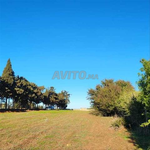 46012-Vente Terrain à de 2835 m²