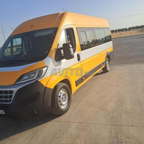 Fiat Ducato transport scolaire