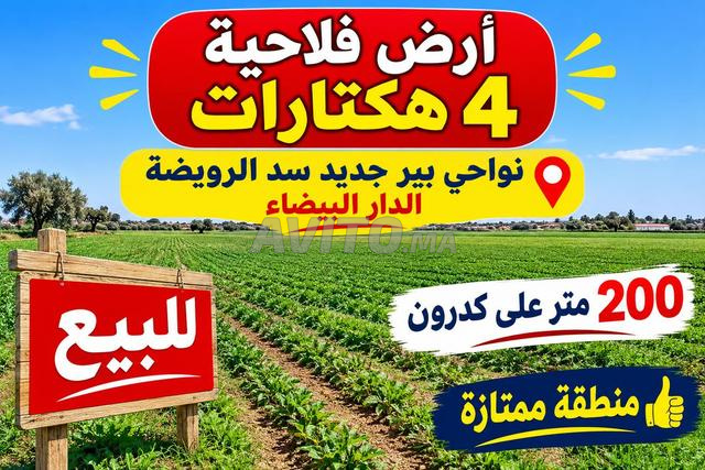 Terrain agricole à vendre, enregistré et immatriculé dans les environs de