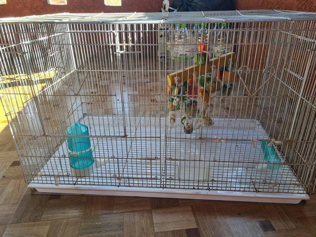 Grande cage à oiseaux avec accessoires – Occasion - 2