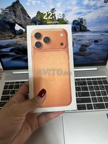 iPhone 17 pro max