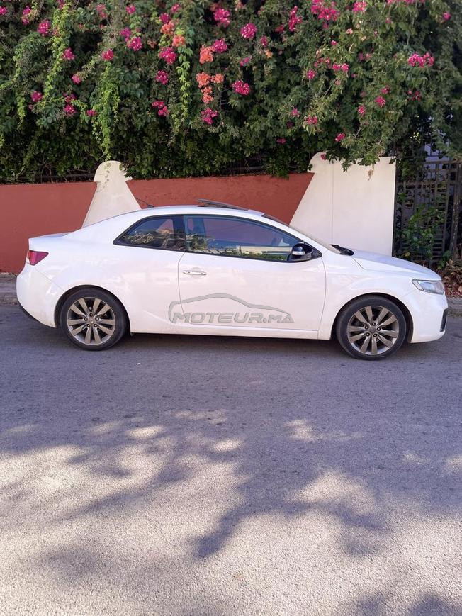 kia cerato koup