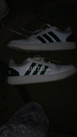 Adidas Campus Original - 2