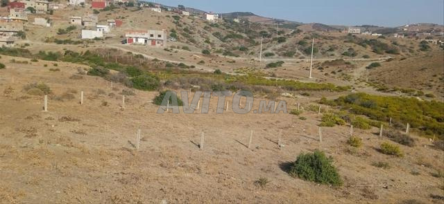 بيع أرض في طنجة - 2