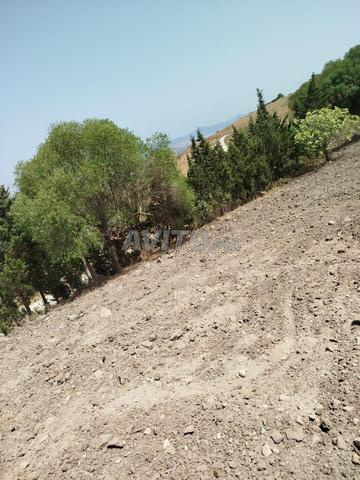 Terrain titré avec vue exceptionnelle – Nouinouich - 2