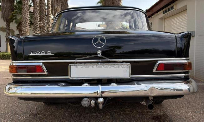 mercedes collection 