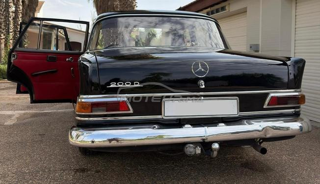 mercedes collection 