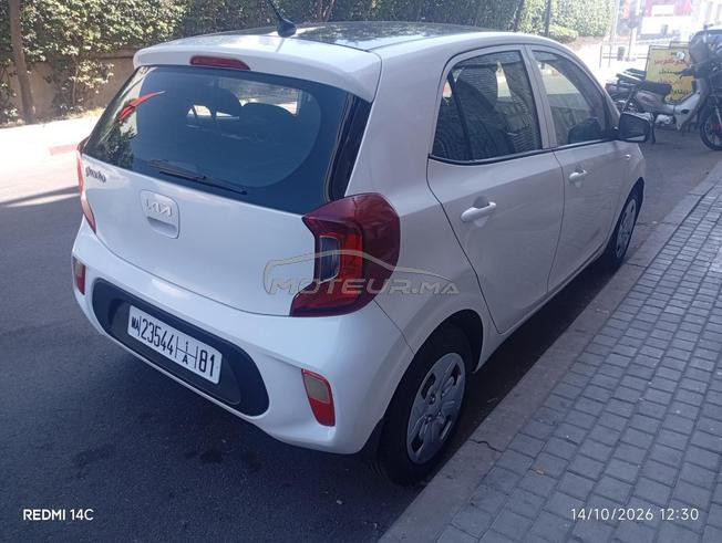 kia Picanto 