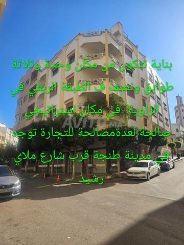Tanger Branes - 2