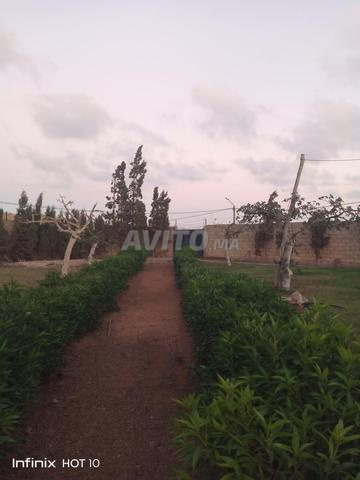 مزرعة صغيرة مرخصة