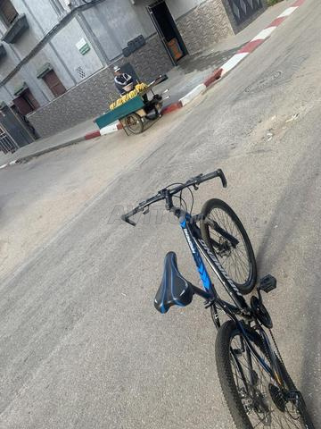 Vélo en fer