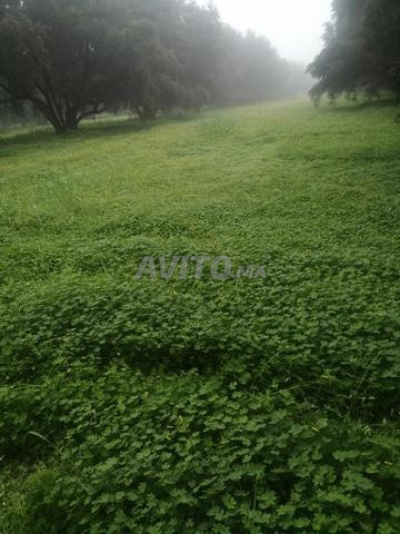 بني ملال والمناطق المجاورة - 2