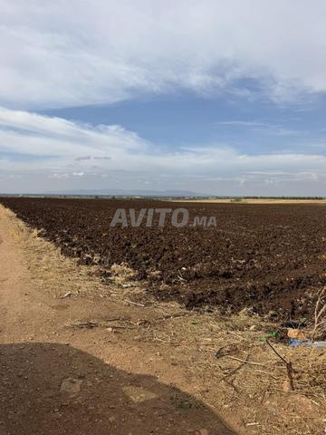1,5 hectare à vendre - 2
