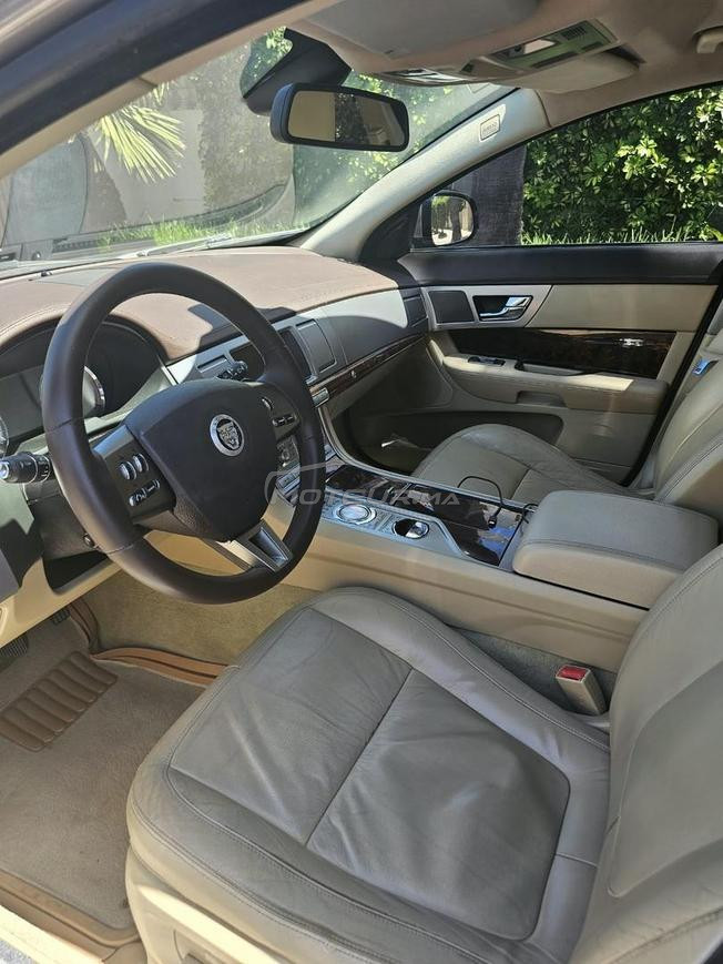 jaguar en tres bon etat